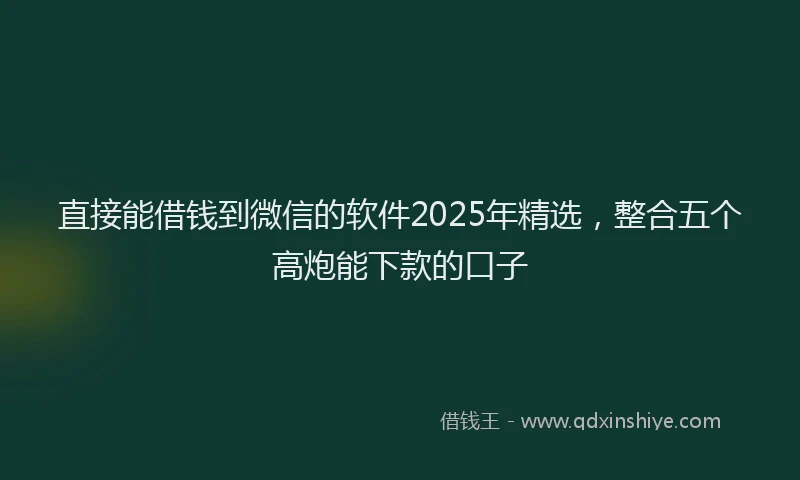 直接能借钱到微信的软件2025年精选，整合五个高炮能下款的口子