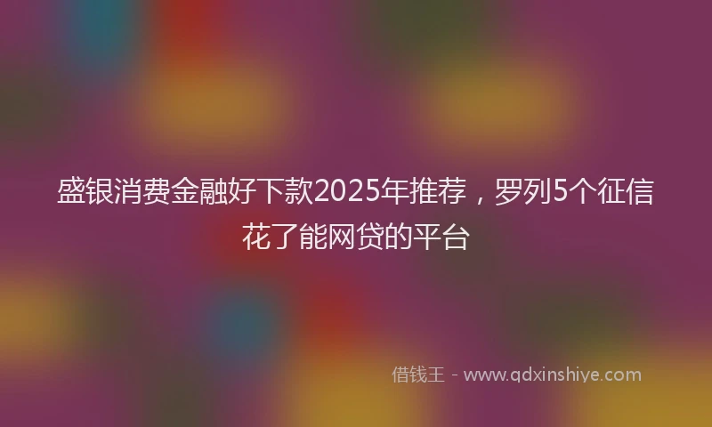 盛银消费金融好下款2025年推荐，罗列5个征信花了能网贷的平台