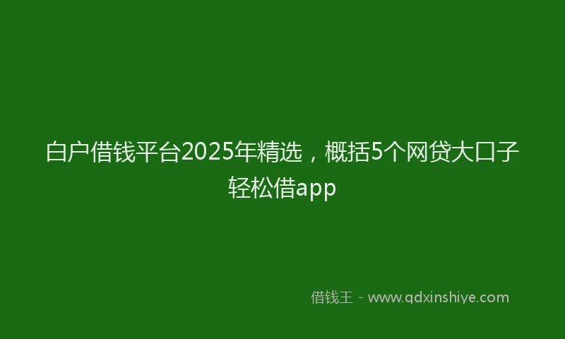 白户借钱平台2025年精选，概括5个网贷大口子轻松借app