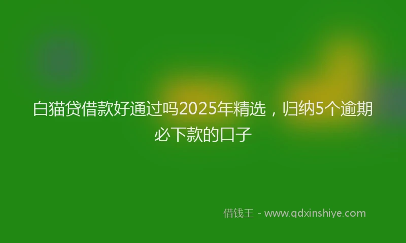 白猫贷借款好通过吗2025年精选，归纳5个逾期必下款的口子
