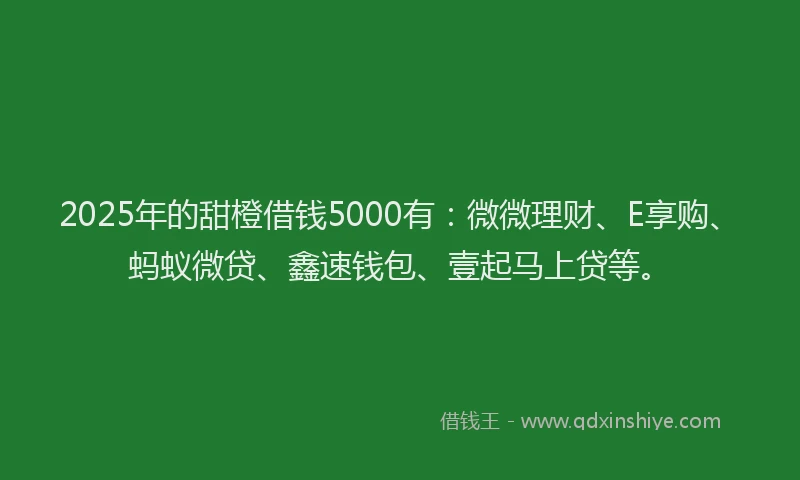 2025年的甜橙借钱5000有：微微理财、E享购、蚂蚁微贷、鑫速钱包、壹起马上贷等。