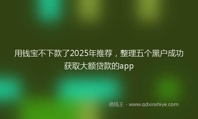 用钱宝不下款了2025年推荐，整理五个黑户成功获取大额贷款的app