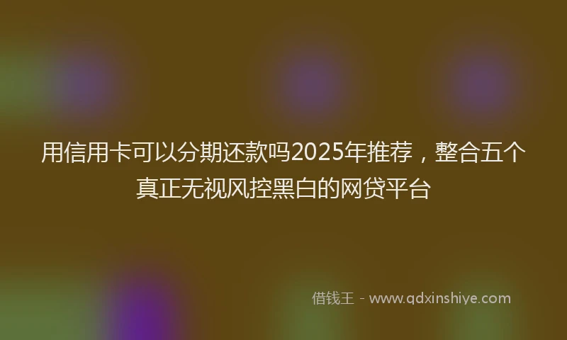 用信用卡可以分期还款吗2025年推荐，整合五个真正无视风控黑白的网贷平台