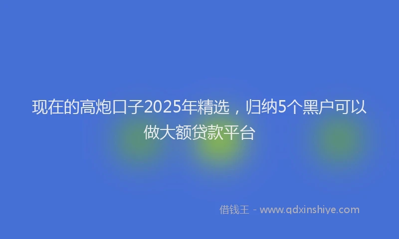现在的高炮口子2025年精选，归纳5个黑户可以做大额贷款平台