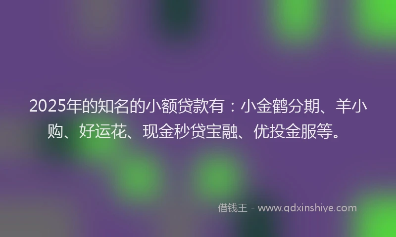 2025年的知名的小额贷款有：小金鹤分期、羊小购、好运花、现金秒贷宝融、优投金服等。