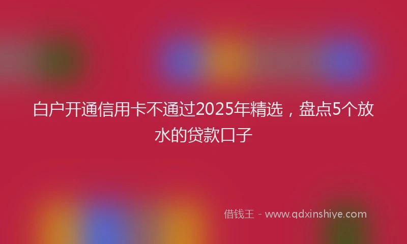 白户开通信用卡不通过2025年精选，盘点5个放水的贷款口子