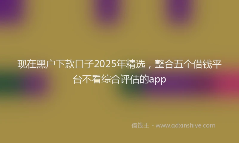 现在黑户下款口子2025年精选，整合五个借钱平台不看综合评估的app