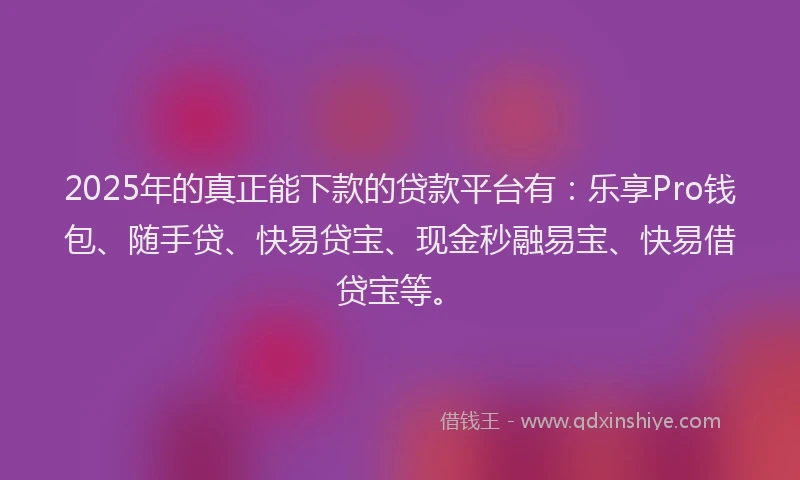 2025年的真正能下款的贷款平台有：乐享Pro钱包、随手贷、快易贷宝、现金秒融易宝、快易借贷宝等。
