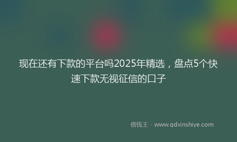 现在还有下款的平台吗2025年精选，盘点5个快速下款无视征信的口子