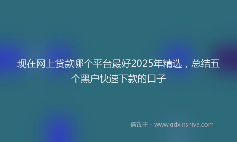 现在网上贷款哪个平台最好2025年精选，总结五个黑户快速下款的口子