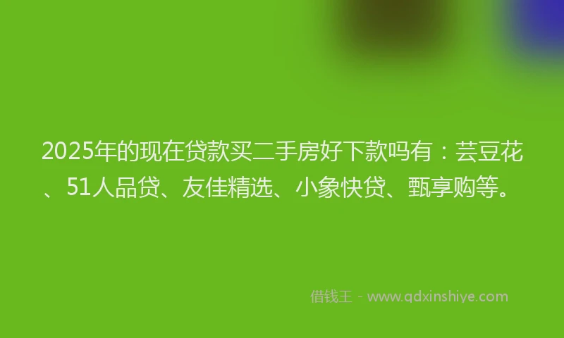 2025年的现在贷款买二手房好下款吗有：芸豆花、51人品贷、友佳精选、小象快贷、甄享购等。