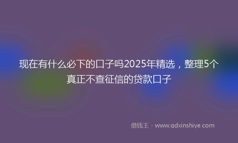 现在有什么必下的口子吗2025年精选，整理5个真正不查征信的贷款口子