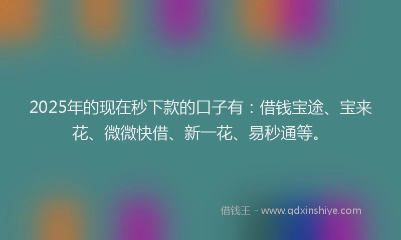 2025年的现在秒下款的口子有：借钱宝途、宝来花、微微快借、新一花、易秒通等。