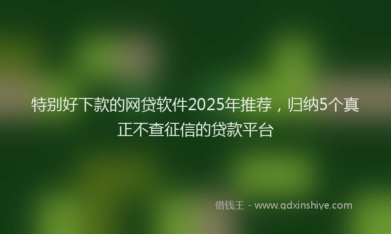 特别好下款的网贷软件2025年推荐，归纳5个真正不查征信的贷款平台