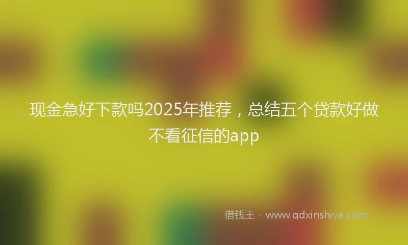 现金急好下款吗2025年推荐，总结五个贷款好做不看征信的app