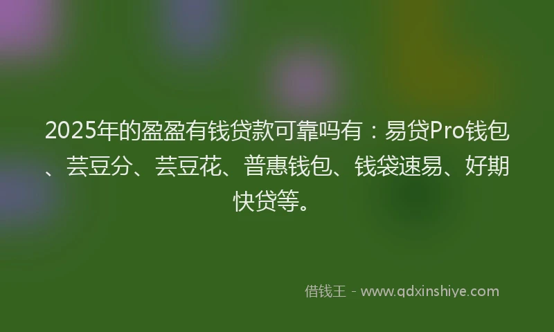2025年的盈盈有钱贷款可靠吗有：易贷Pro钱包、芸豆分、芸豆花、普惠钱包、钱袋速易、好期快贷等。