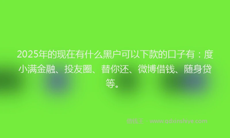 2025年的现在有什么黑户可以下款的口子有：度小满金融、投友圈、替你还、微博借钱、随身贷等。
