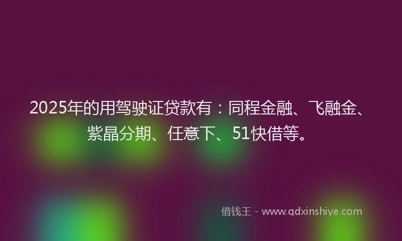 2025年的用驾驶证贷款有：同程金融、飞融金、紫晶分期、任意下、51快借等。