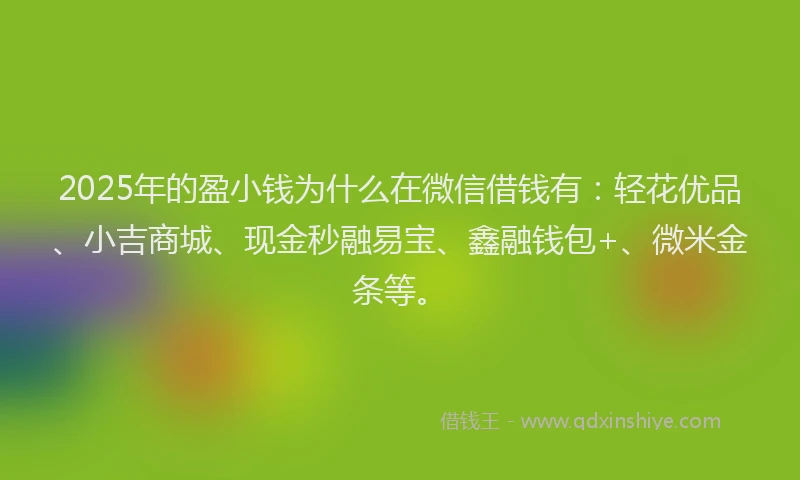 2025年的盈小钱为什么在微信借钱有：轻花优品、小吉商城、现金秒融易宝、鑫融钱包+、微米金条等。