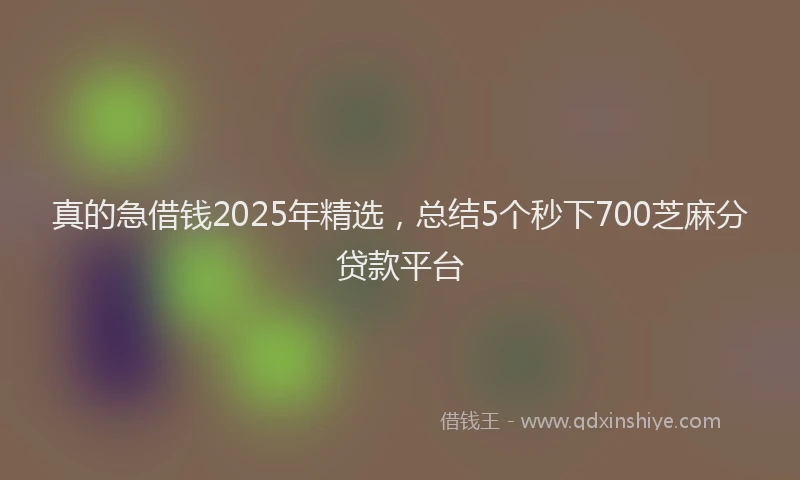 真的急借钱2025年精选，总结5个秒下700芝麻分贷款平台