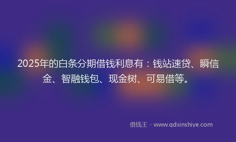 2025年的白条分期借钱利息有：钱站速贷、瞬信金、智融钱包、现金树、可易借等。