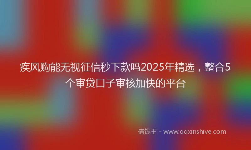 疾风购能无视征信秒下款吗2025年精选，整合5个审贷口子审核加快的平台