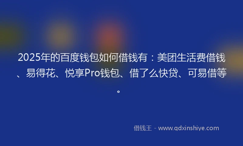 2025年的百度钱包如何借钱有：美团生活费借钱、易得花、悦享Pro钱包、借了么快贷、可易借等。