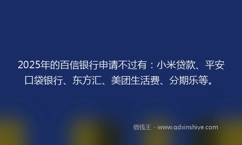 2025年的百信银行申请不过有：小米贷款、平安口袋银行、东方汇、美团生活费、分期乐等。