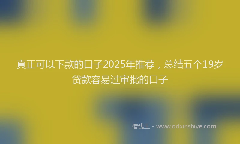 真正可以下款的口子2025年推荐，总结五个19岁贷款容易过审批的口子