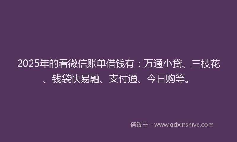2025年的看微信账单借钱有：万通小贷、三枝花、钱袋快易融、支付通、今日购等。