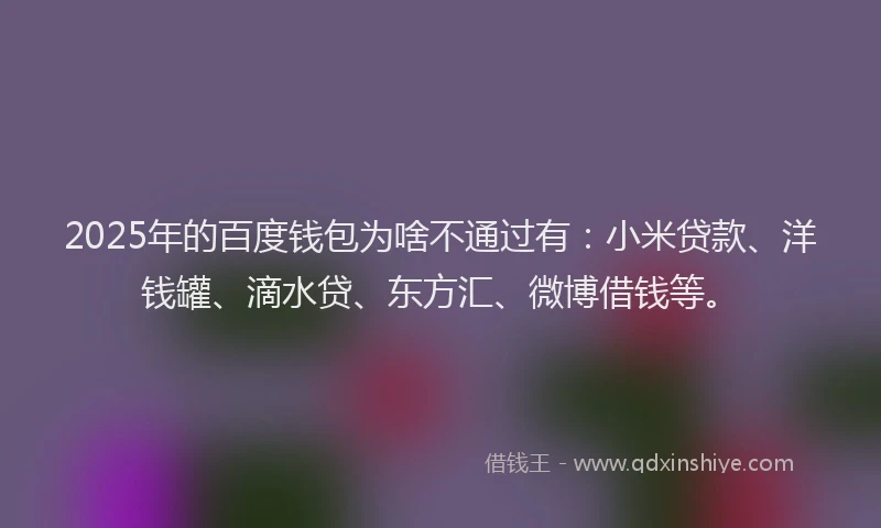 2025年的百度钱包为啥不通过有：小米贷款、洋钱罐、滴水贷、东方汇、微博借钱等。