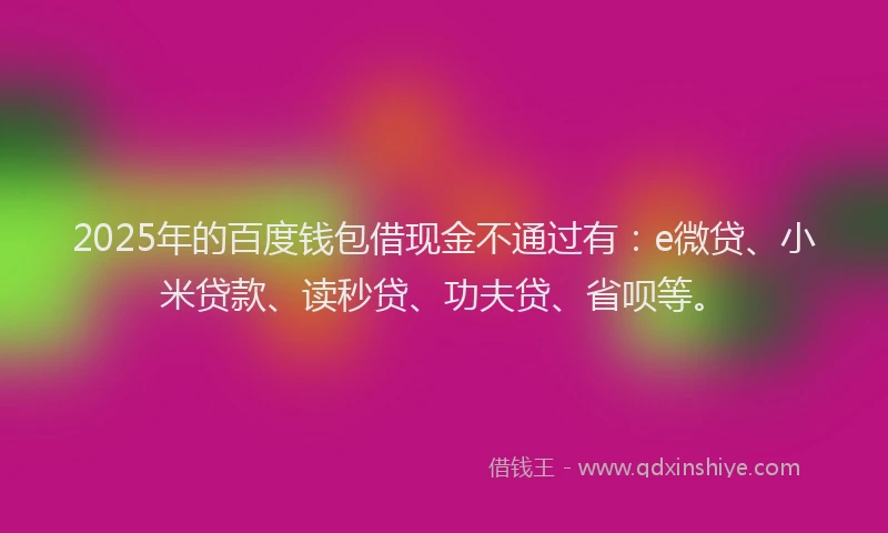 2025年的百度钱包借现金不通过有：e微贷、小米贷款、读秒贷、功夫贷、省呗等。
