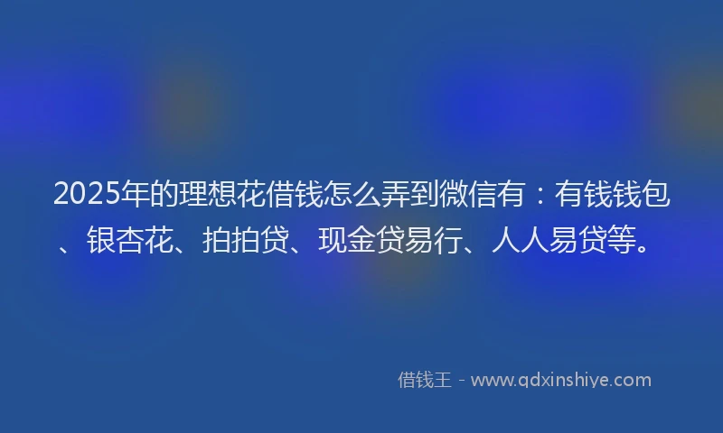 2025年的理想花借钱怎么弄到微信有：有钱钱包、银杏花、拍拍贷、现金贷易行、人人易贷等。
