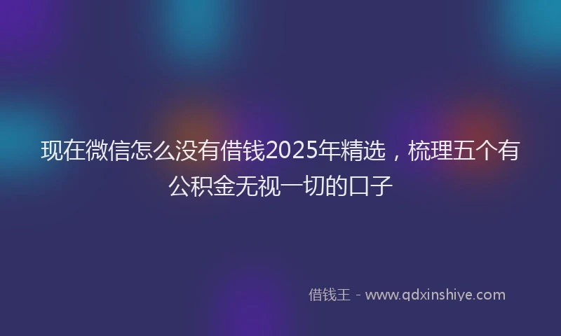 现在微信怎么没有借钱2025年精选，梳理五个有公积金无视一切的口子