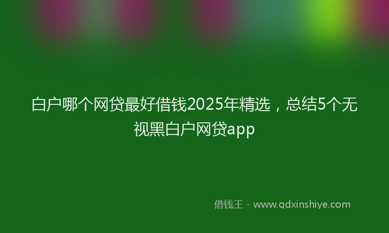 白户哪个网贷最好借钱2025年精选，总结5个无视黑白户网贷app