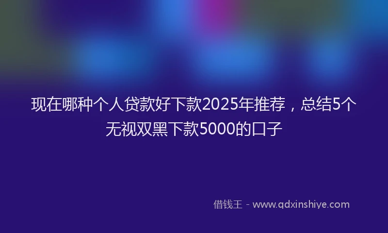 现在哪种个人贷款好下款2025年推荐，总结5个无视双黑下款5000的口子