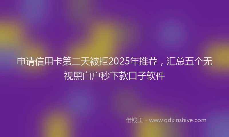 申请信用卡第二天被拒2025年推荐，汇总五个无视黑白户秒下款口子软件
