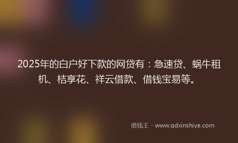 2025年的白户好下款的网贷有：急速贷、蜗牛租机、桔享花、祥云借款、借钱宝易等。