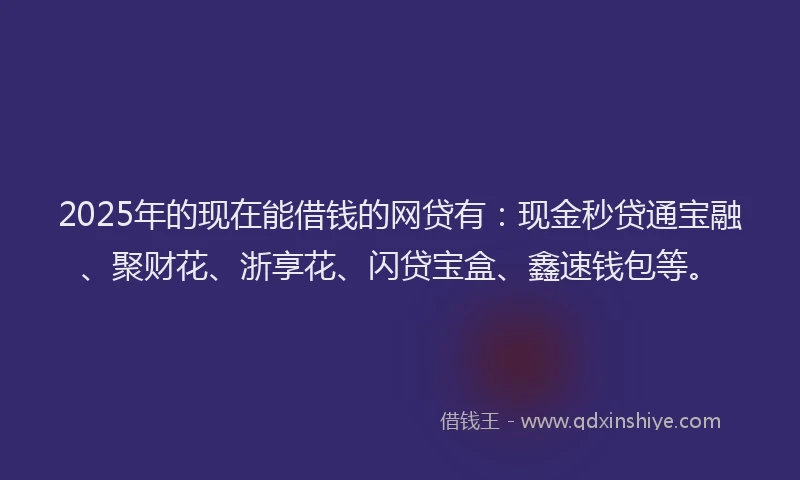 2025年的现在能借钱的网贷有：现金秒贷通宝融、聚财花、浙享花、闪贷宝盒、鑫速钱包等。