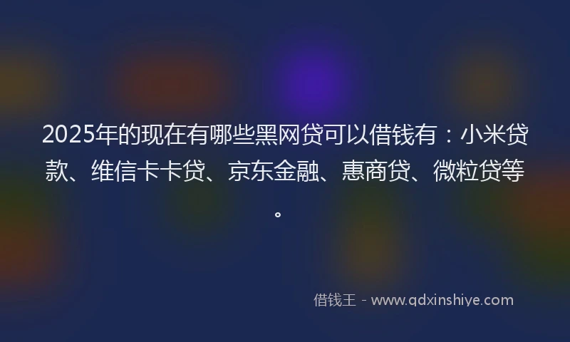 2025年的现在有哪些黑网贷可以借钱有：小米贷款、维信卡卡贷、京东金融、惠商贷、微粒贷等。