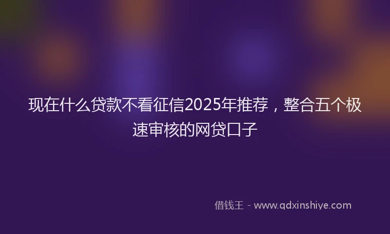 现在什么贷款不看征信2025年推荐，整合五个极速审核的网贷口子