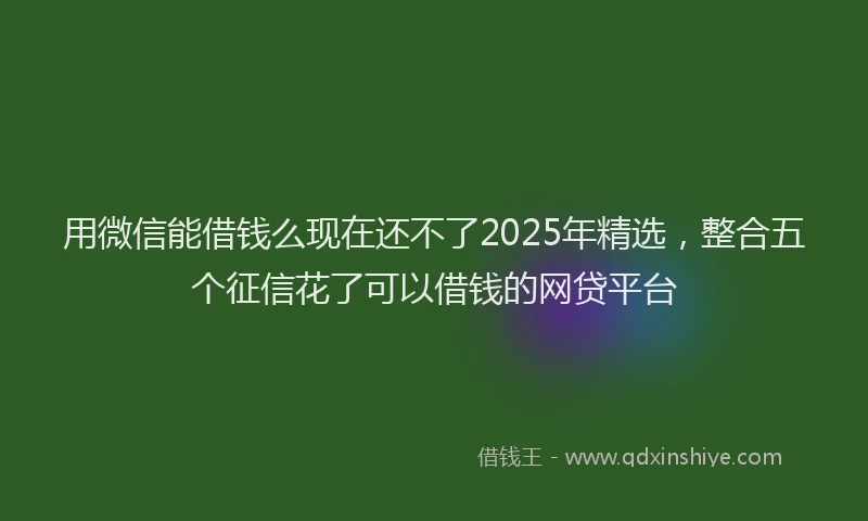 用微信能借钱么现在还不了2025年精选，整合五个征信花了可以借钱的网贷平台