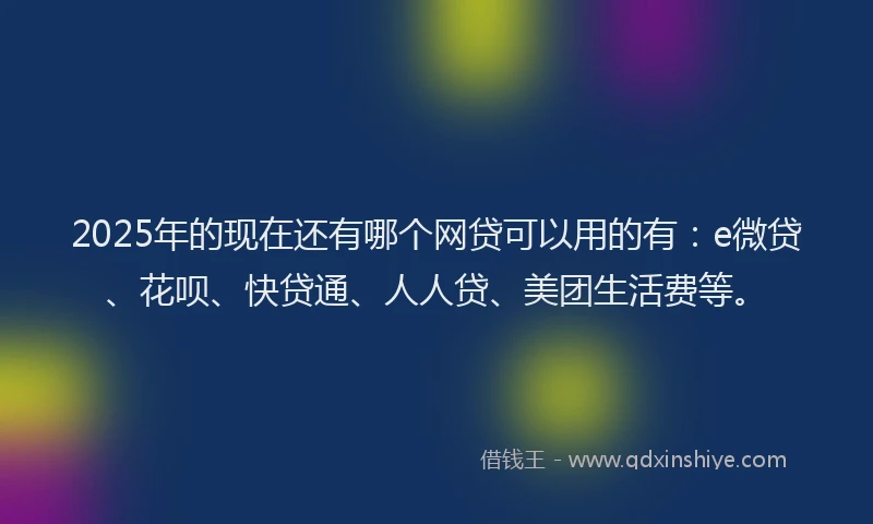 2025年的现在还有哪个网贷可以用的有：e微贷、花呗、快贷通、人人贷、美团生活费等。