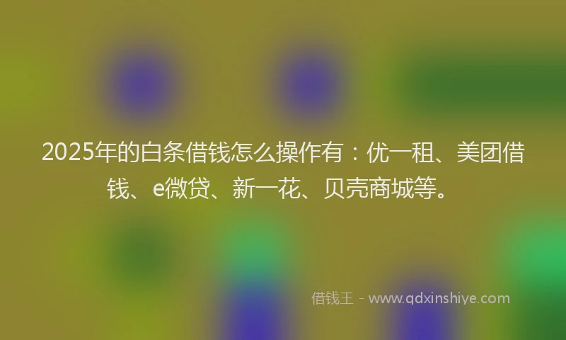 2025年的白条借钱怎么操作有:优一租、美团借钱、e微贷、新一花、贝壳商城等。