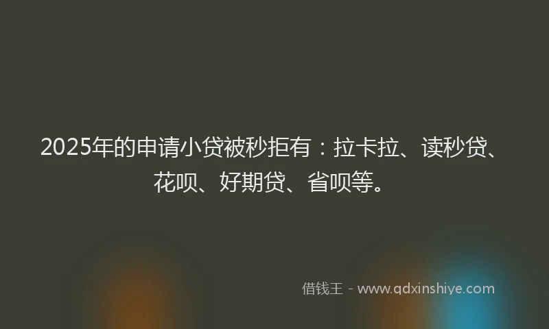 2025年的申请小贷被秒拒有：拉卡拉、读秒贷、花呗、好期贷、省呗等。