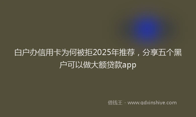 白户办信用卡为何被拒2025年推荐，分享五个黑户可以做大额贷款app