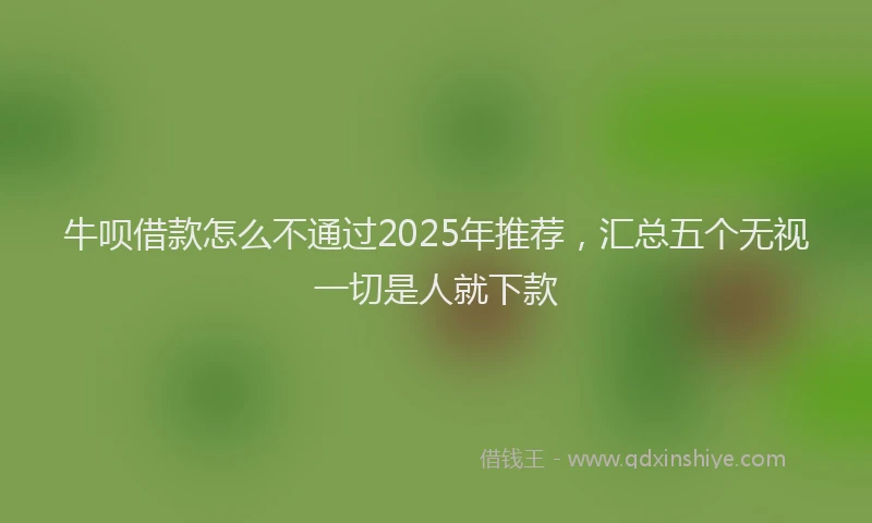 牛呗借款怎么不通过2025年推荐，汇总五个无视一切是人就下款