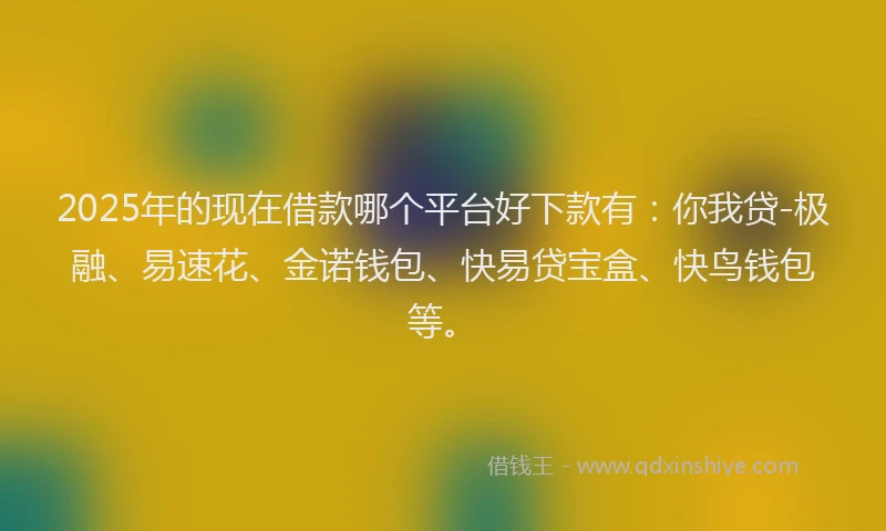 2025年的现在借款哪个平台好下款有：你我贷-极融、易速花、金诺钱包、快易贷宝盒、快鸟钱包等。