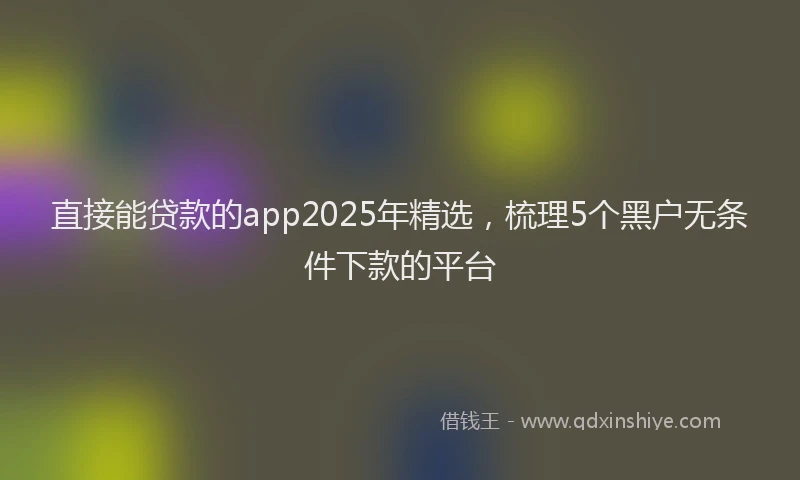 直接能贷款的app2025年精选，梳理5个黑户无条件下款的平台