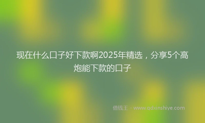 现在什么口子好下款啊2025年精选，分享5个高炮能下款的口子